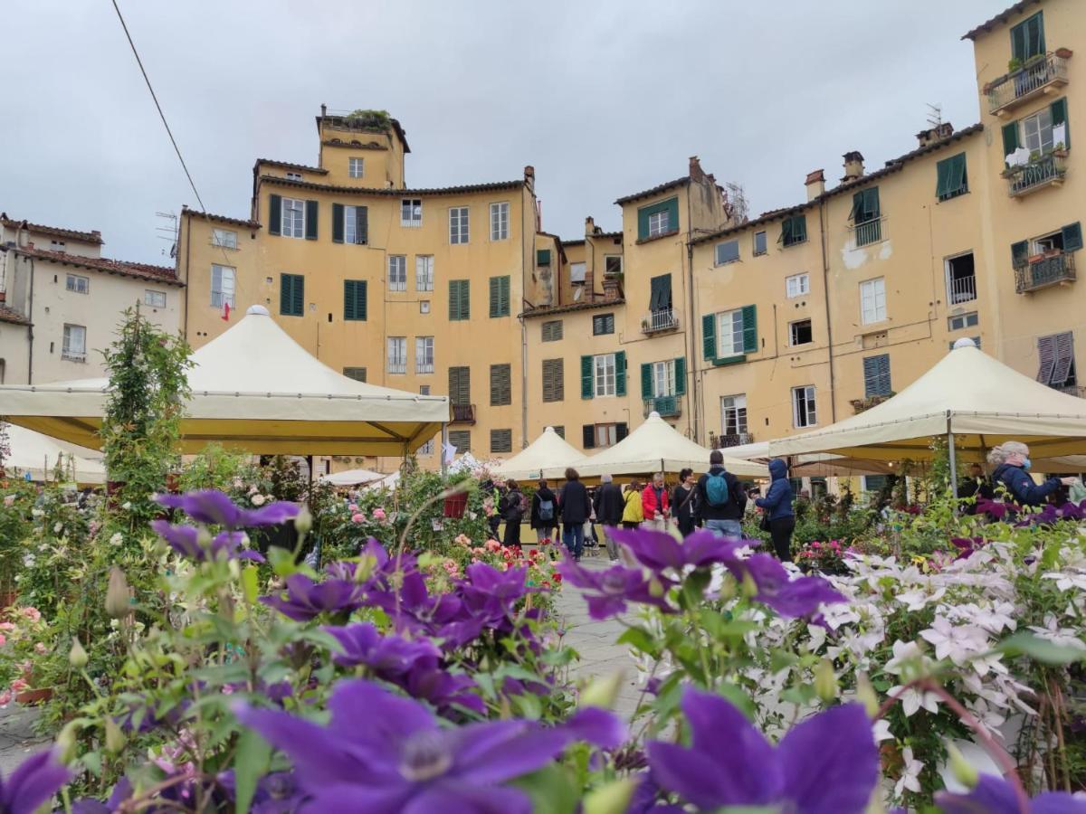 Lucca In Corte Near The City Centre Extérieur photo